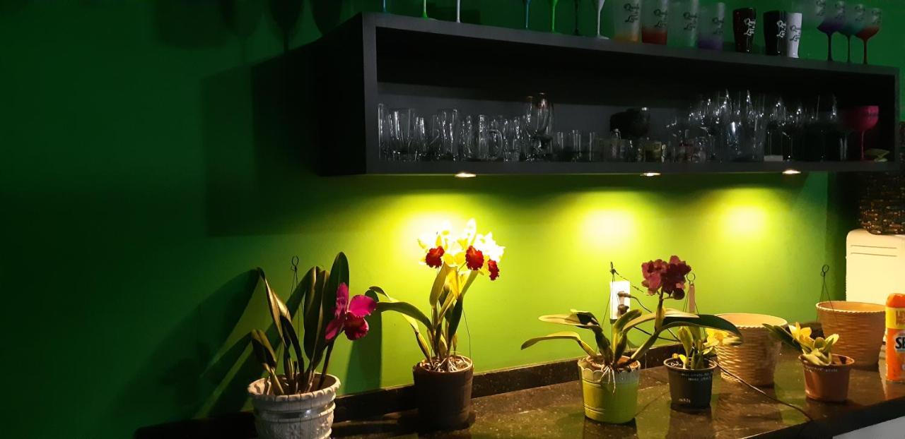 Quinta Do Lapa II Διαμέρισμα Florianópolis Εξωτερικό φωτογραφία